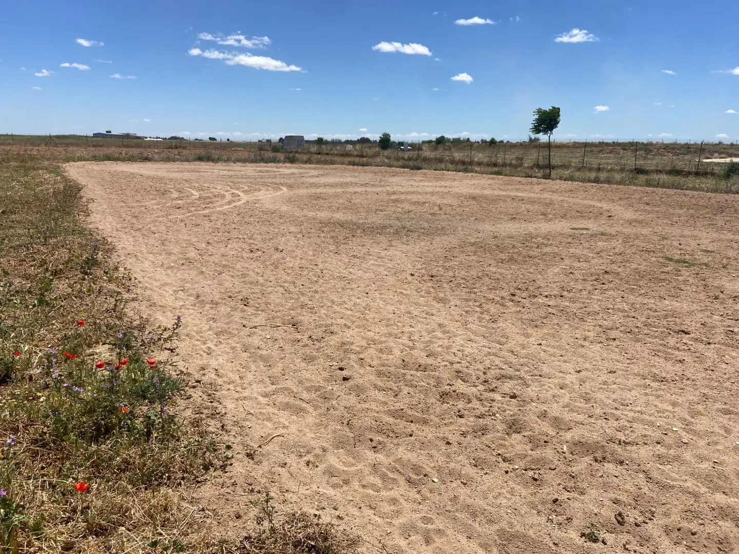 Terreny residencial en venda a Camino Camino de Torralba de Calatrava, imagen 35