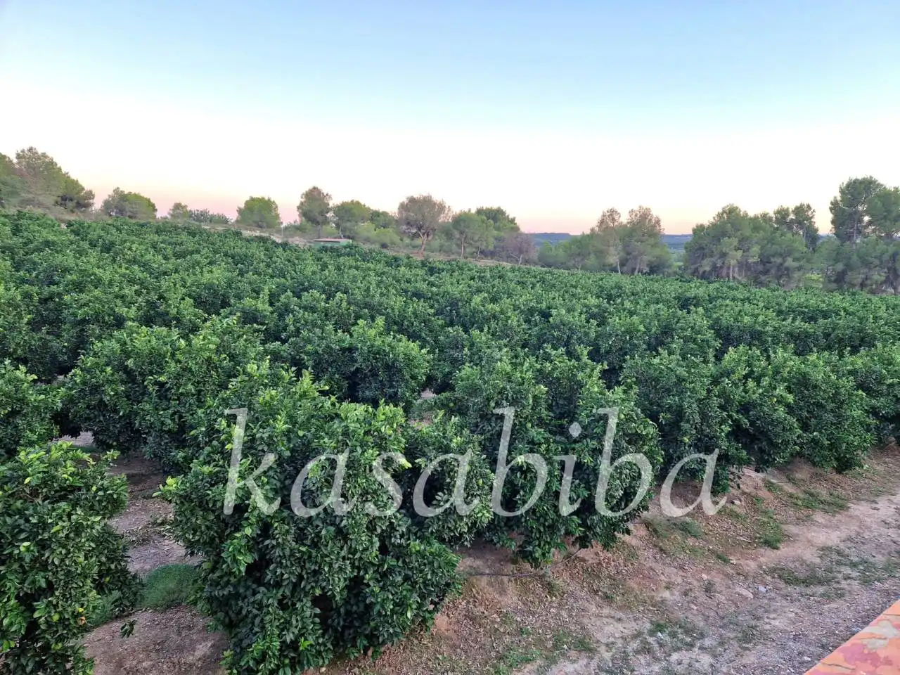 Casa rústica con jardín en venta en Urbanizacion LA PARIDERA, POLIGONO, imagen 32