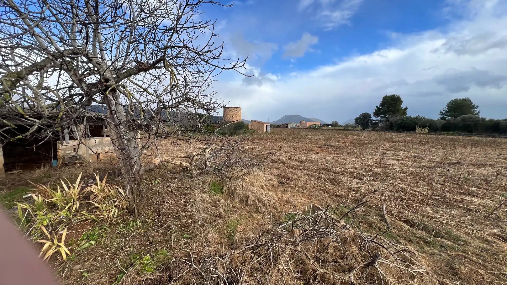 Rural land for sale in Búger, imagen 4
