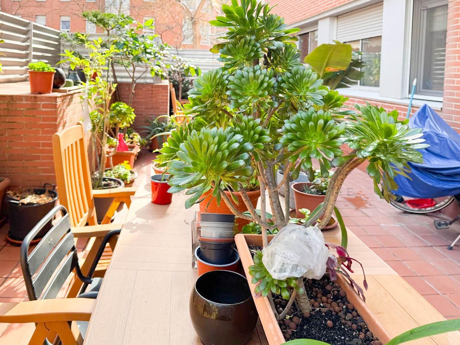 Terrassa de Planta baixa en venda en  Barcelona Capital amb Aire condicionat, Calefacció i Parquet