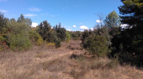 Photo 2 of Land for sale in Els Guiamets, Tarragona