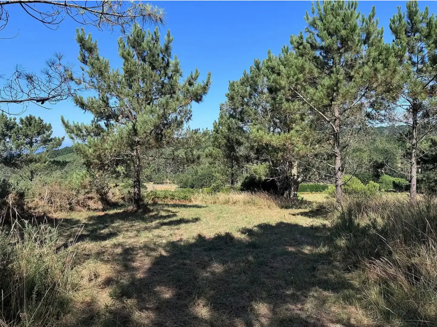 Terreni e lotti in vendita a Área Rural, imagen 17