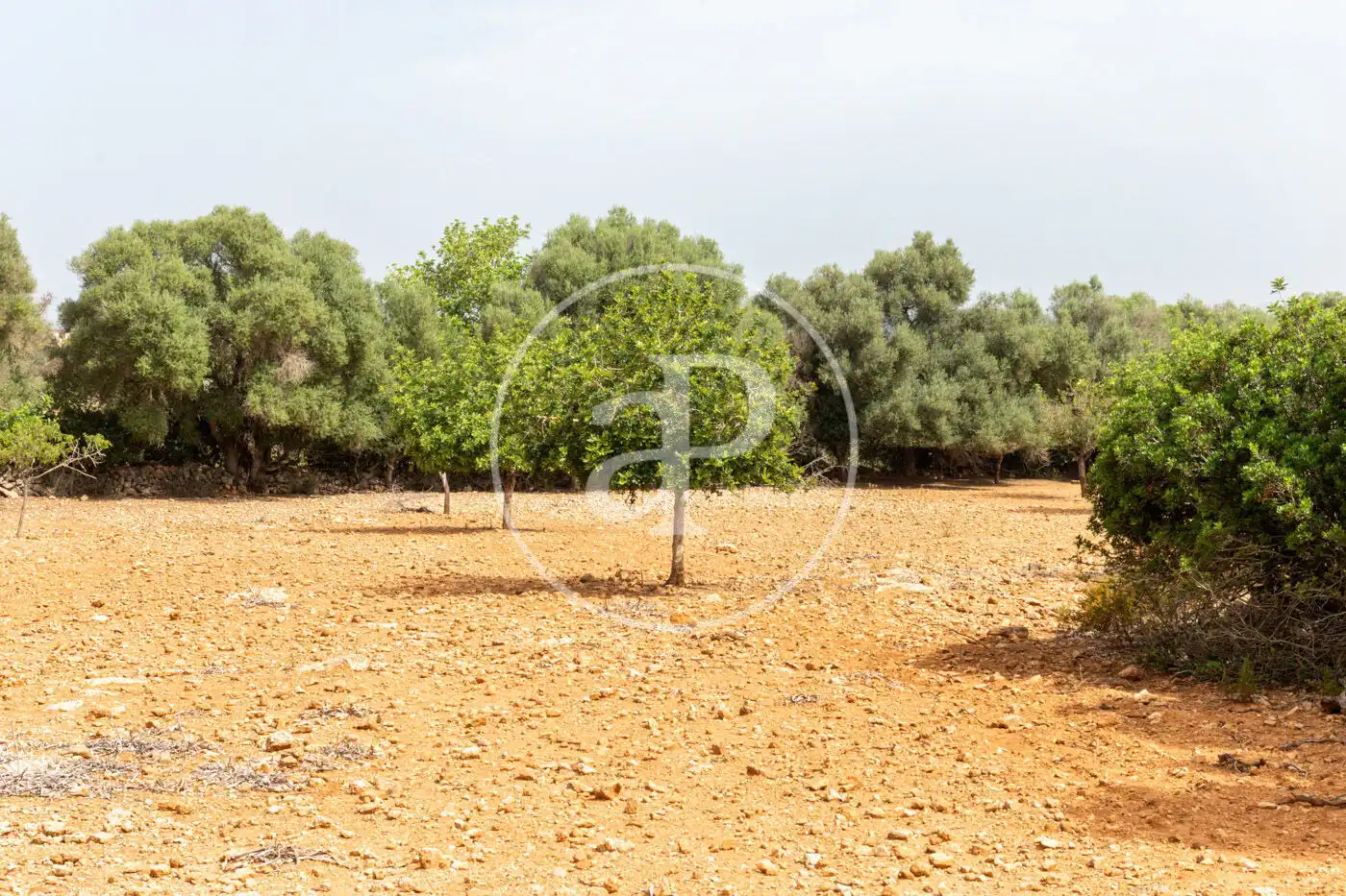 Residencial en venta en Manacor
