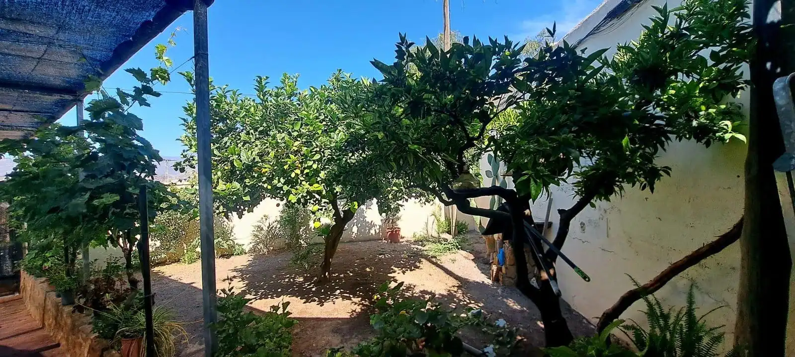 Jardín de Finca rústica en venta en Berja con Aire acondicionado, Calefacción y Jardín privado