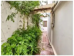Jardí de Casa o xalet en venda en Las Palmas de Gran Canaria amb Jardí privat, Terrassa i Traster