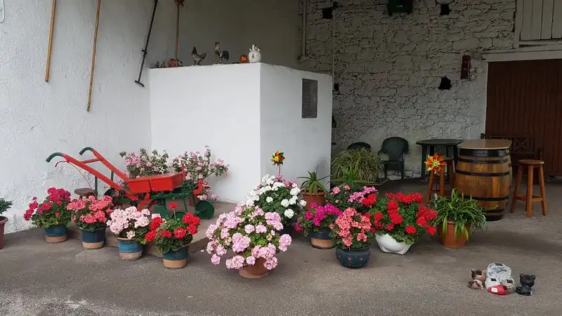 Haus zum Verkauf in Carreño, imagen 7