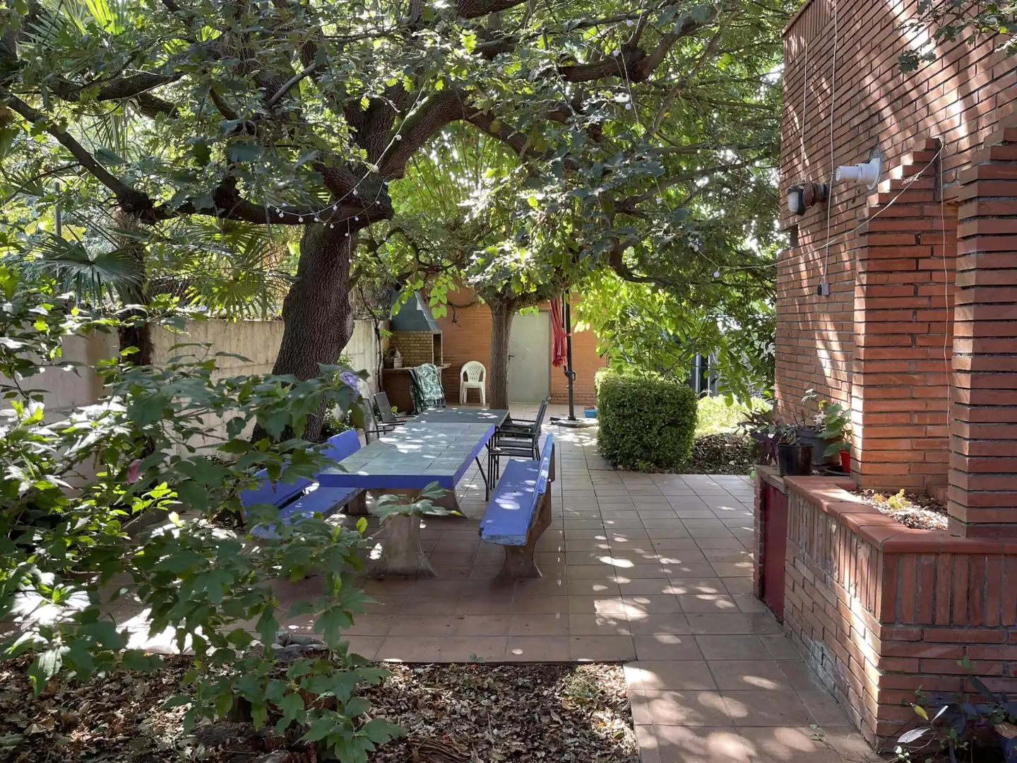Casa con giardino in vendita a Calle Mimosa, imagen 5