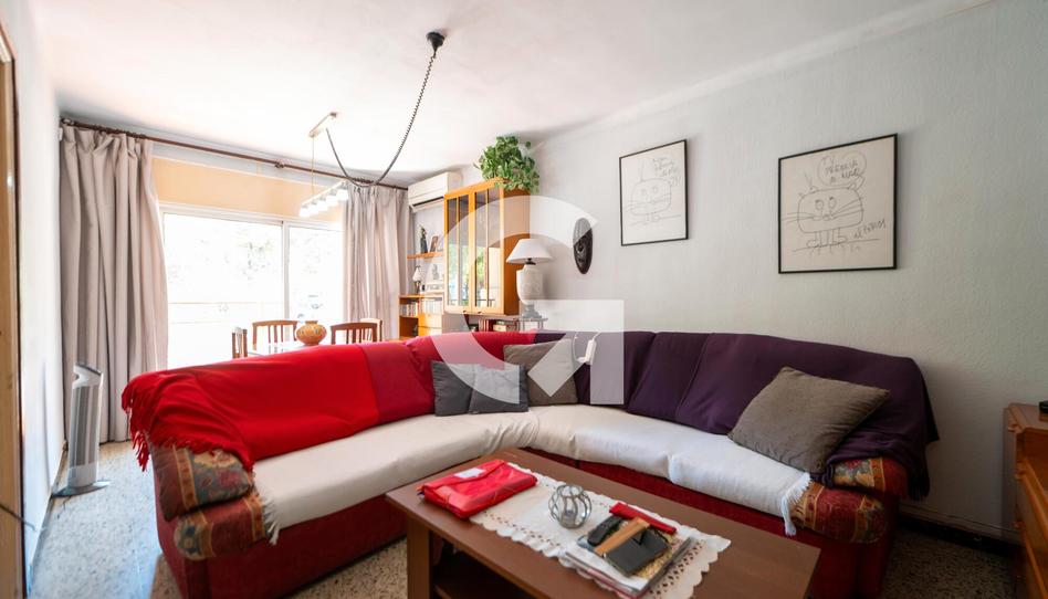 Photo 1 of Planta baja for sale in Premià de Dalt, Barcelona