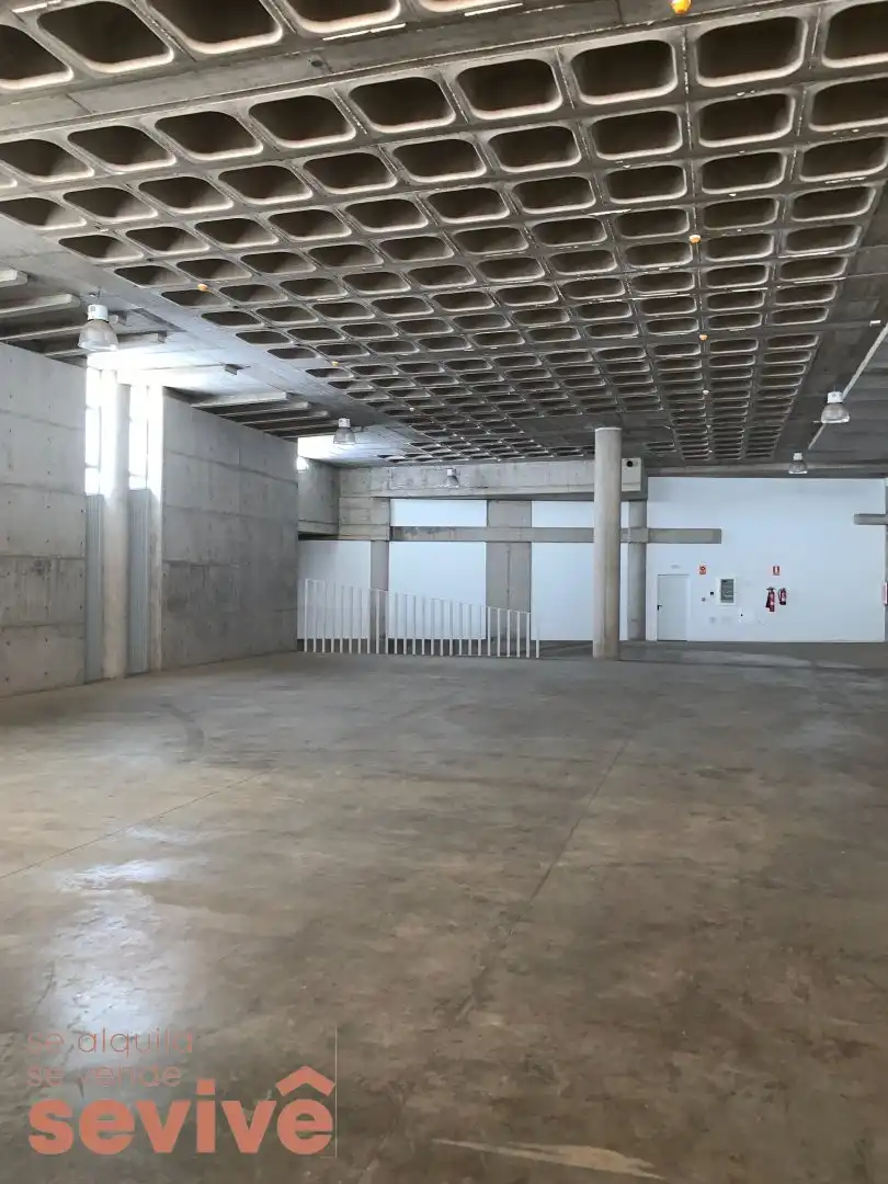 Nau industrial en venda a El Chorrillo - San Isidro  - Llano Blanco, imagen 7