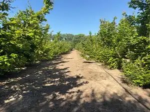 Terreno rustico in vendita a Avinguda de Reus 10, imagen 15