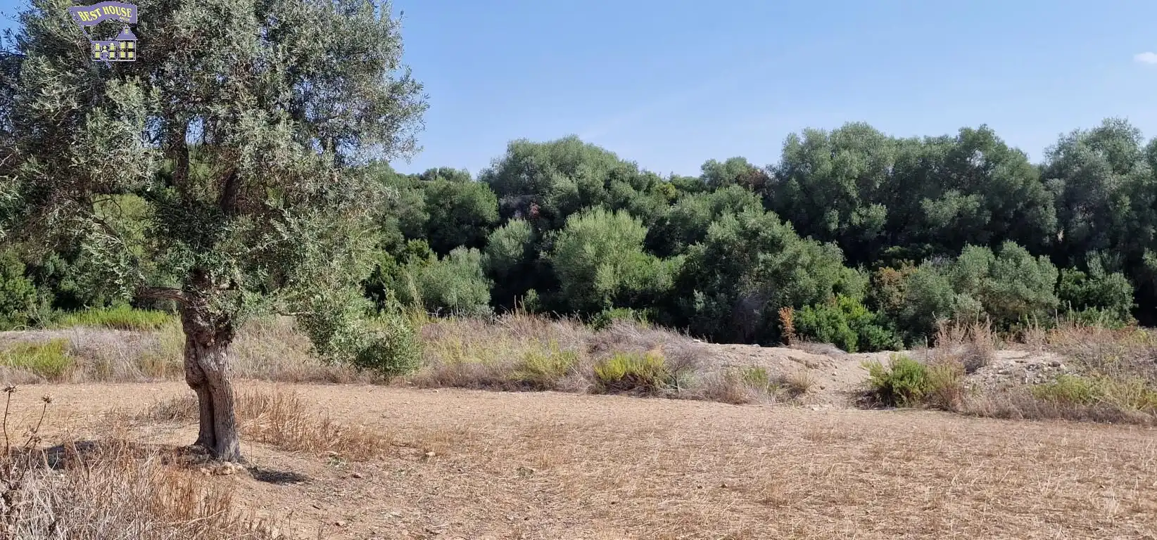 Terreny rústic en venda a Arcos de la Frontera