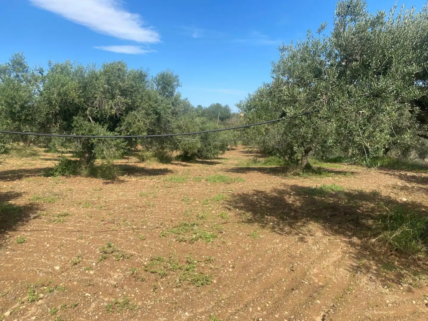Casa rústica en venta en Albinyana, imagen 29