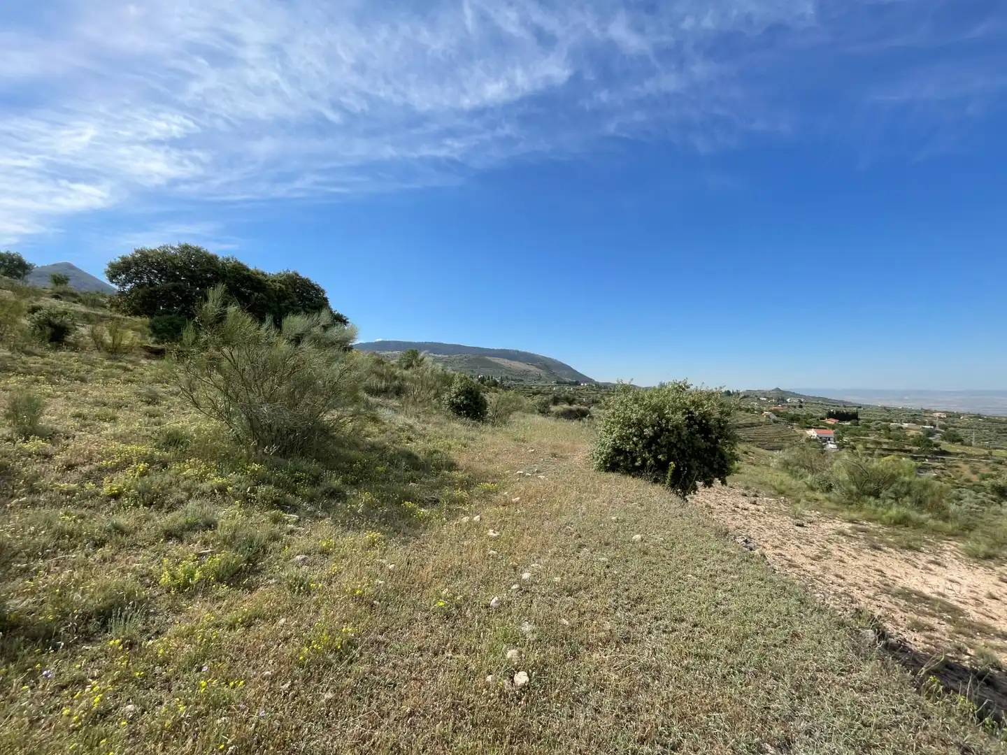 Terrenys i solars en venda a Cogollos de la Vega, imagen 2