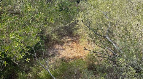 Foto 3 de Residencial en venta en Felanitx Poble, Felanitx