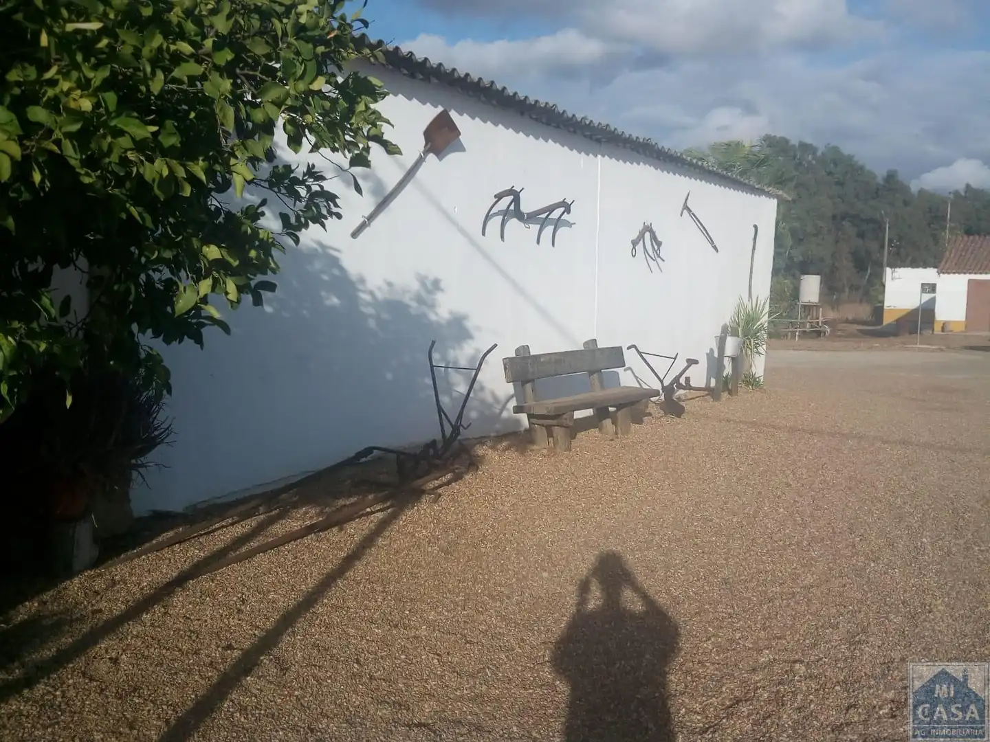 Vista exterior de Finca rústica en venta en Lobón