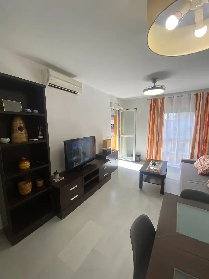 Living room of Apartments for rent in Málaga  with Air Conditioner, Terrace and Furnished