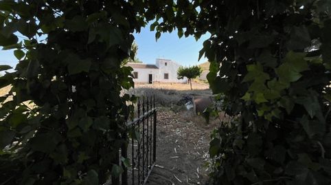 Foto 4 de Casa o chalet en venta en Centro, Fuente Álamo de Murcia