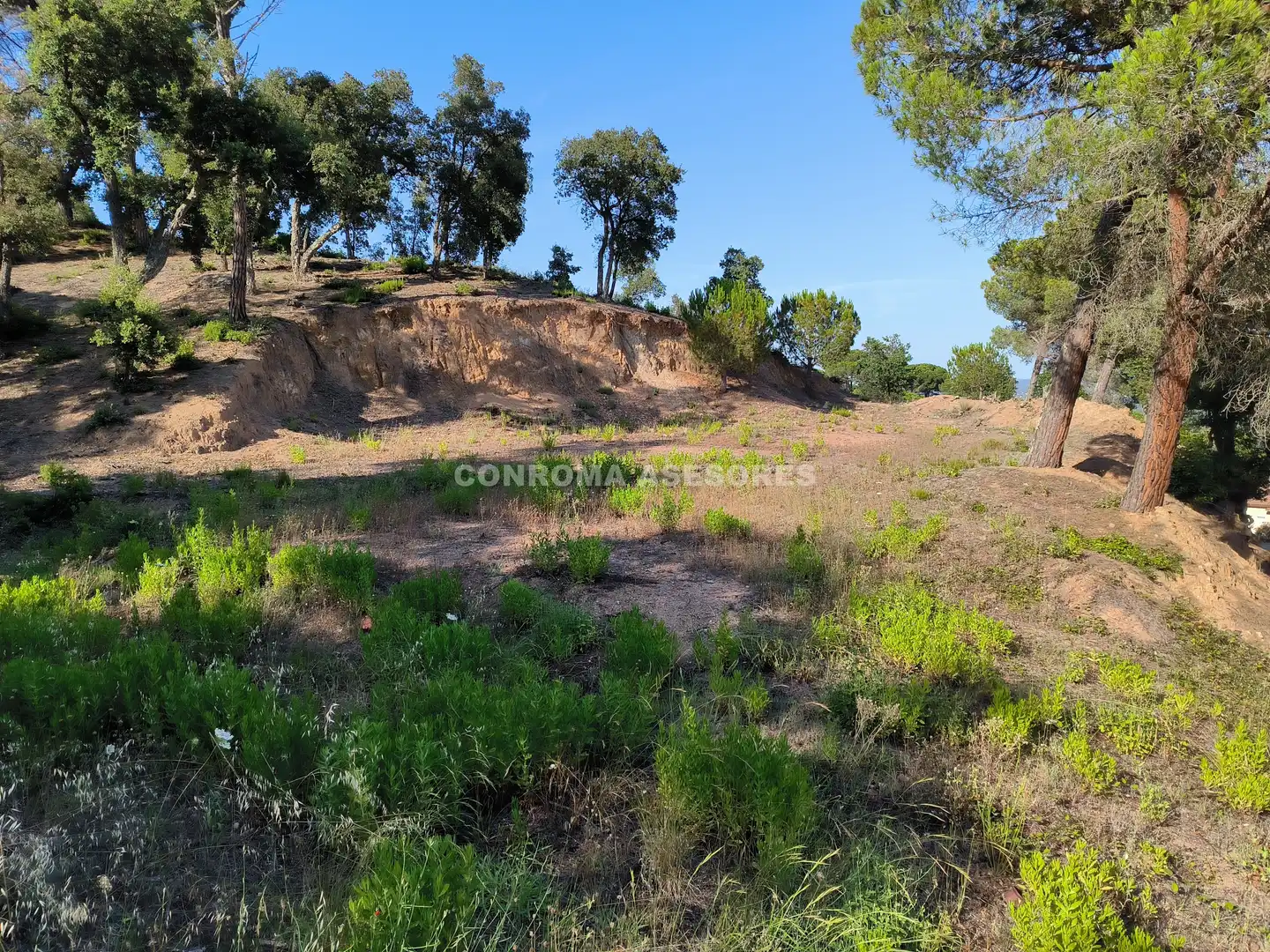 Terreno residencial en venta en Niàgara Parc - Àgora Parc, imagen 2