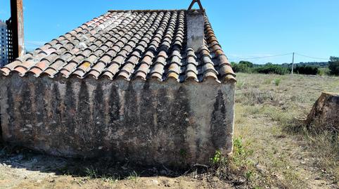 Foto 4 de Terreno en venta en Carretera D'amposta, Masdenverge, Tarragona