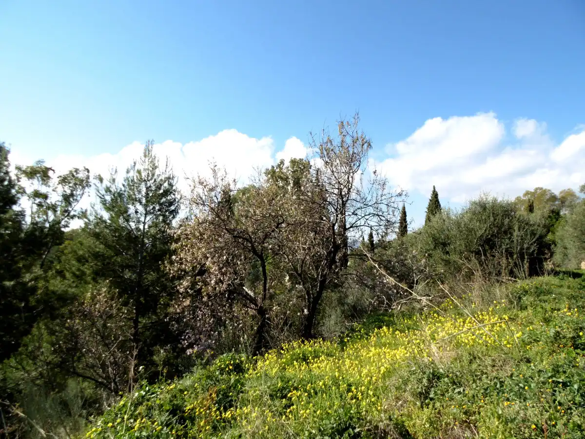 Terreno residencial en venta en Valtocado - La Alquería - La Atalaya, imagen 5