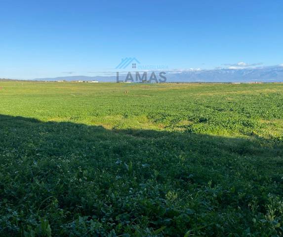 Terreno en Venta en Belvís de Monroy