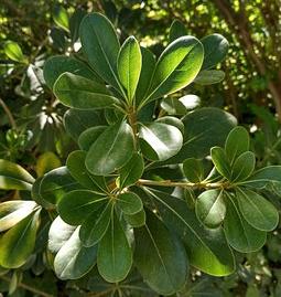 Foto 5 de Ático en venta en Calle de O'donnell, 50, Ibiza de Madrid,  Madrid Capital