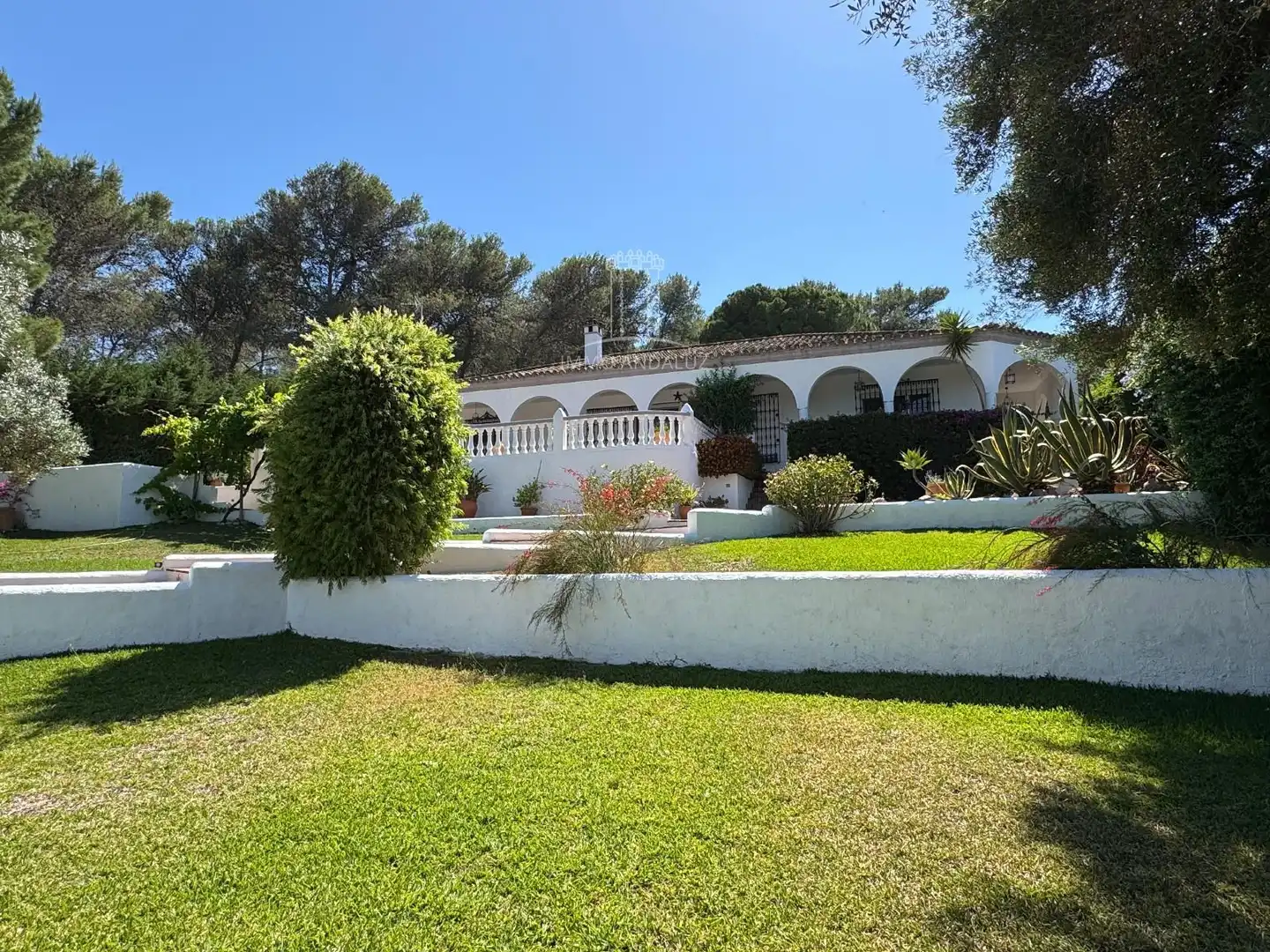 Vista exterior de Casa o xalet en venda en Vejer de la Frontera amb Aire condicionat i Piscina