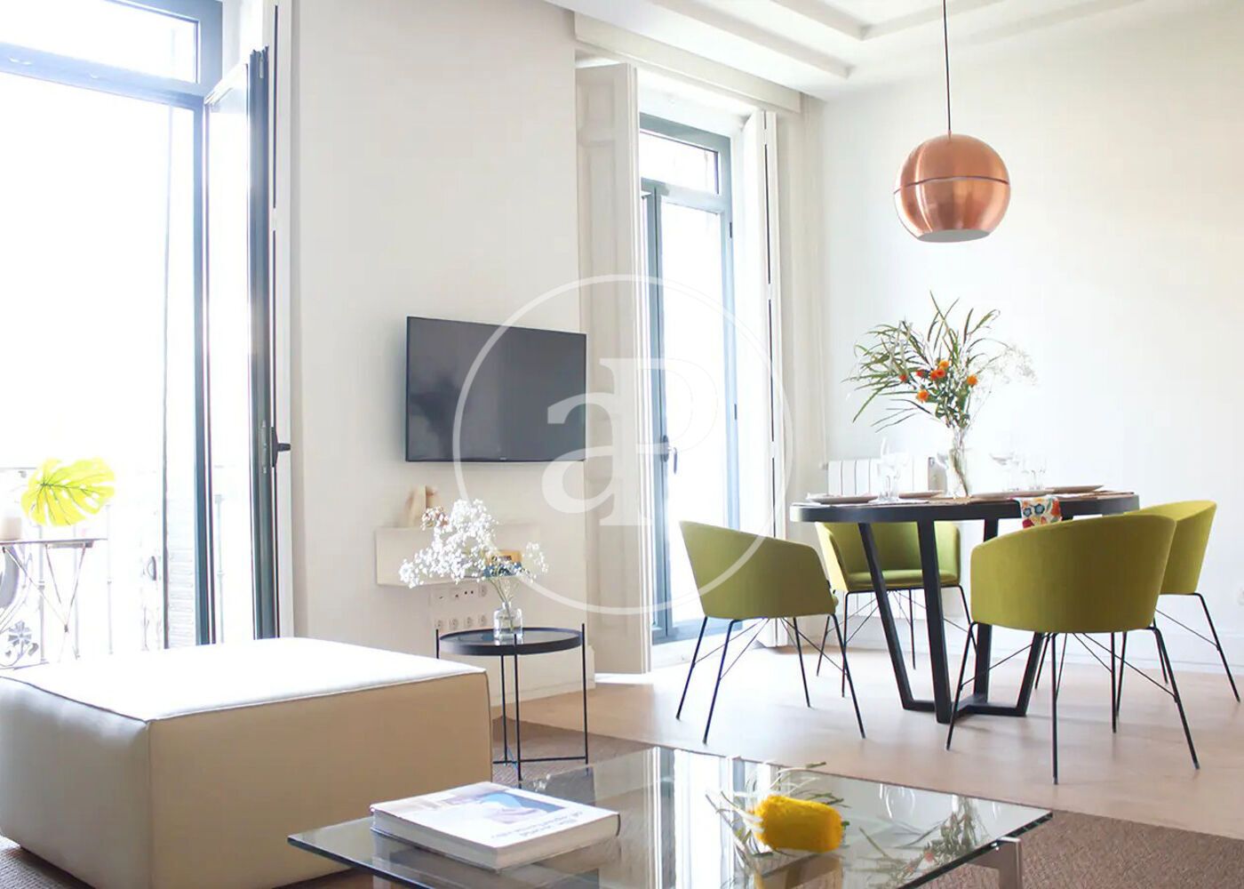 Living room of Flat to rent in  Madrid Capital  with Air Conditioner, Heating and Terrace