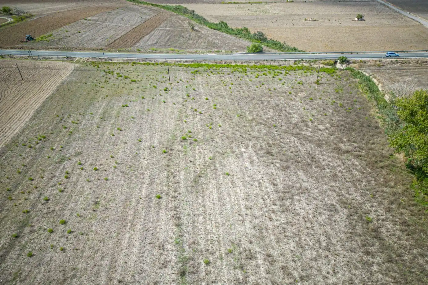 Terreno rustico in vendita a Santa Margalida Poble, imagen 14