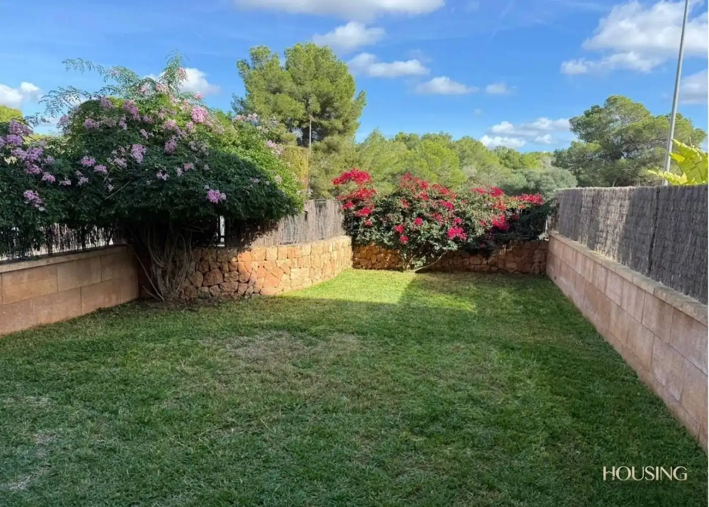 Baixos amb jardí de lloguer a Maioris-Puig de Ros, imagen 5