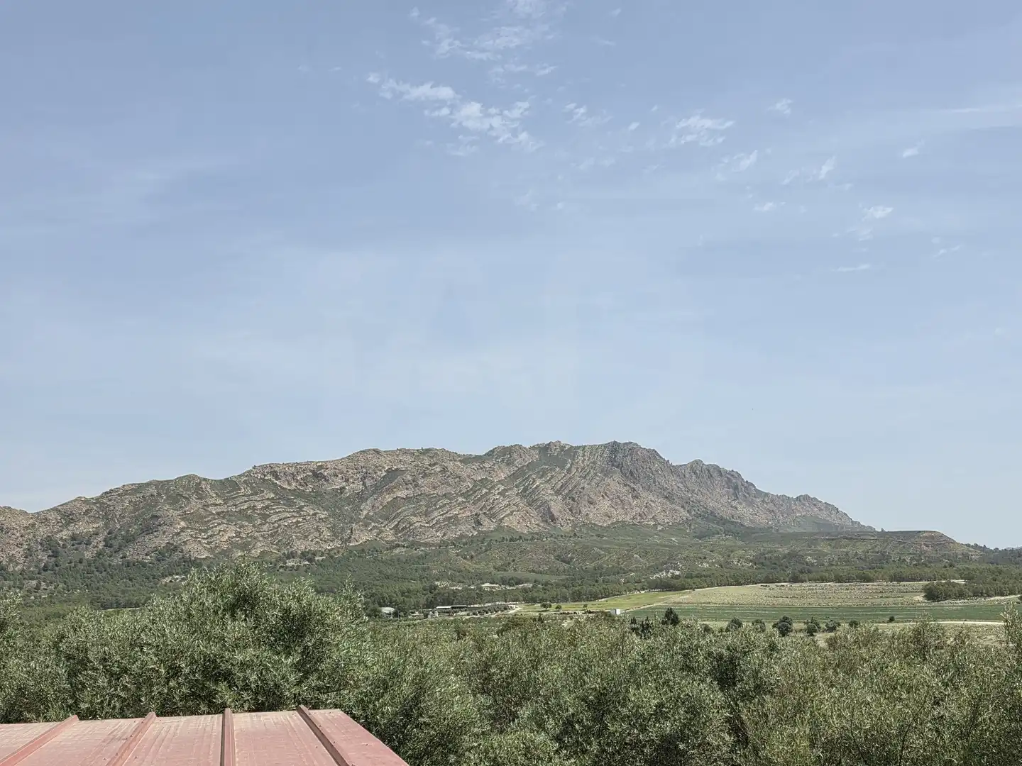 Maison avec piscine à vendre à Calasparra, imagen 38