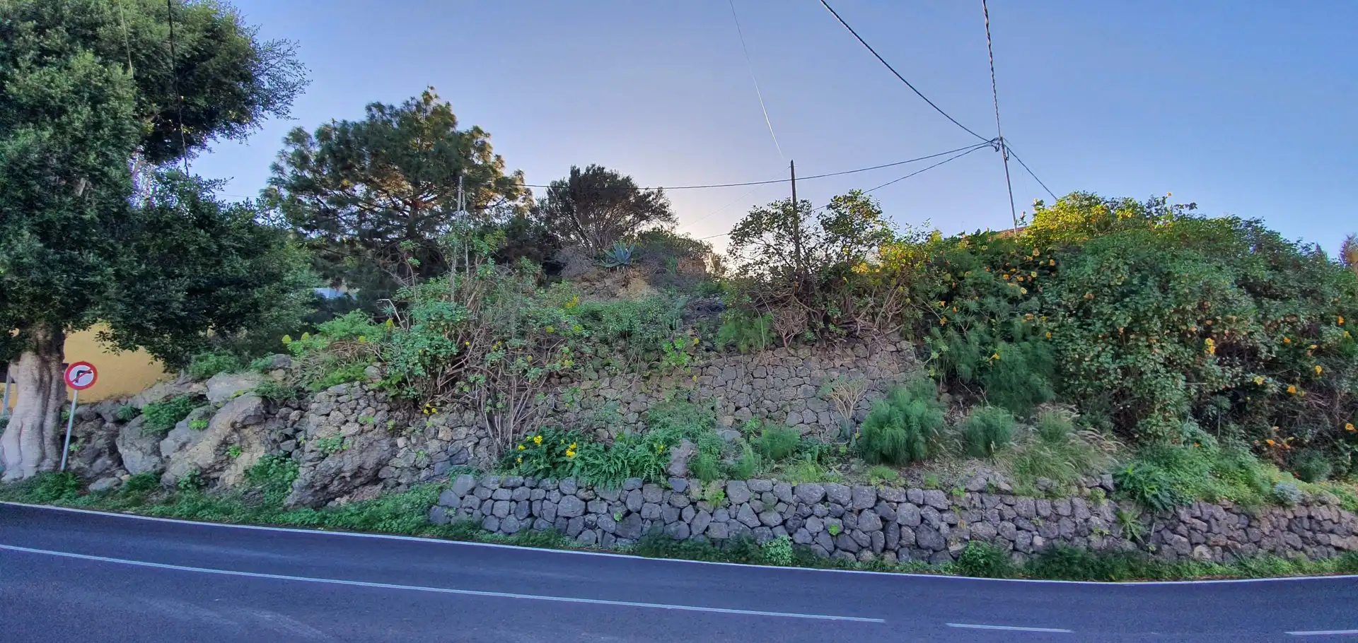 Terreno residenziale in vendita a La Guancha, imagen 6