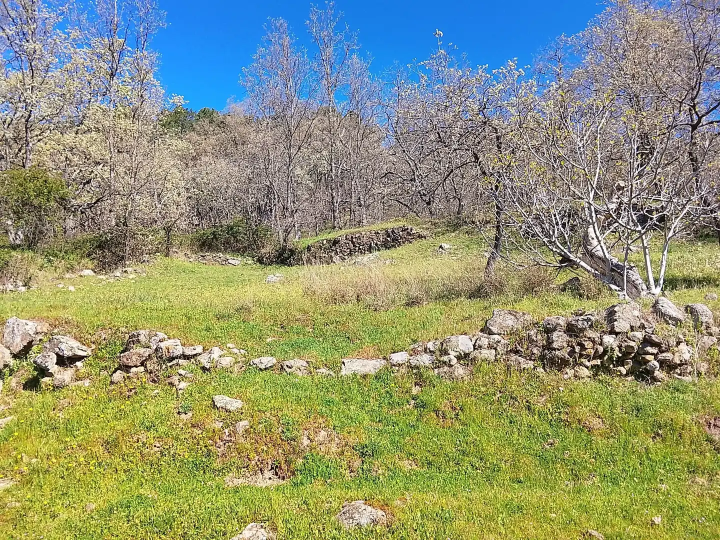 Terreni e lotti in vendita a Candeleda, imagen 53