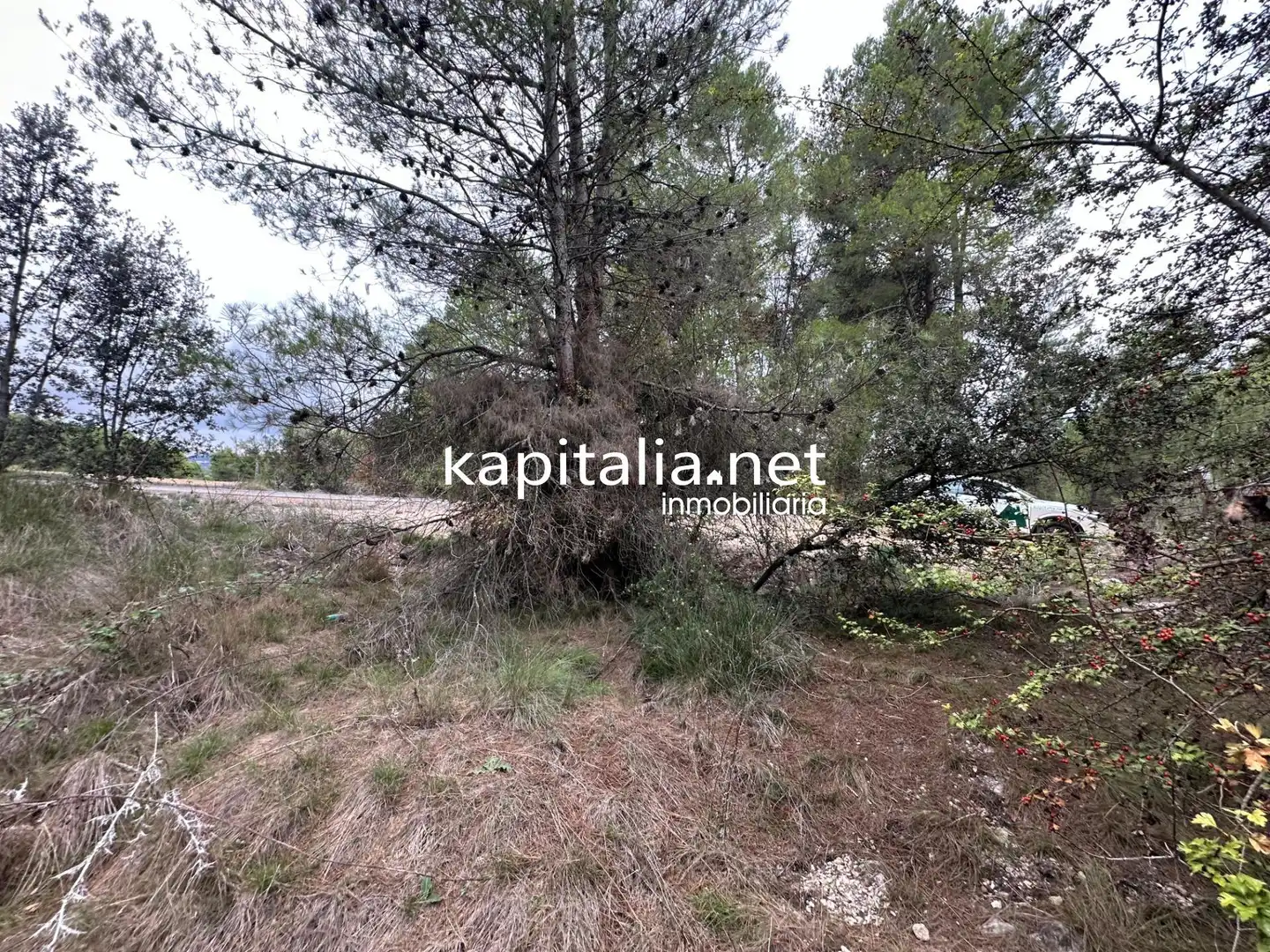 Terreno residencial en venta en Alfafara, imagen 2