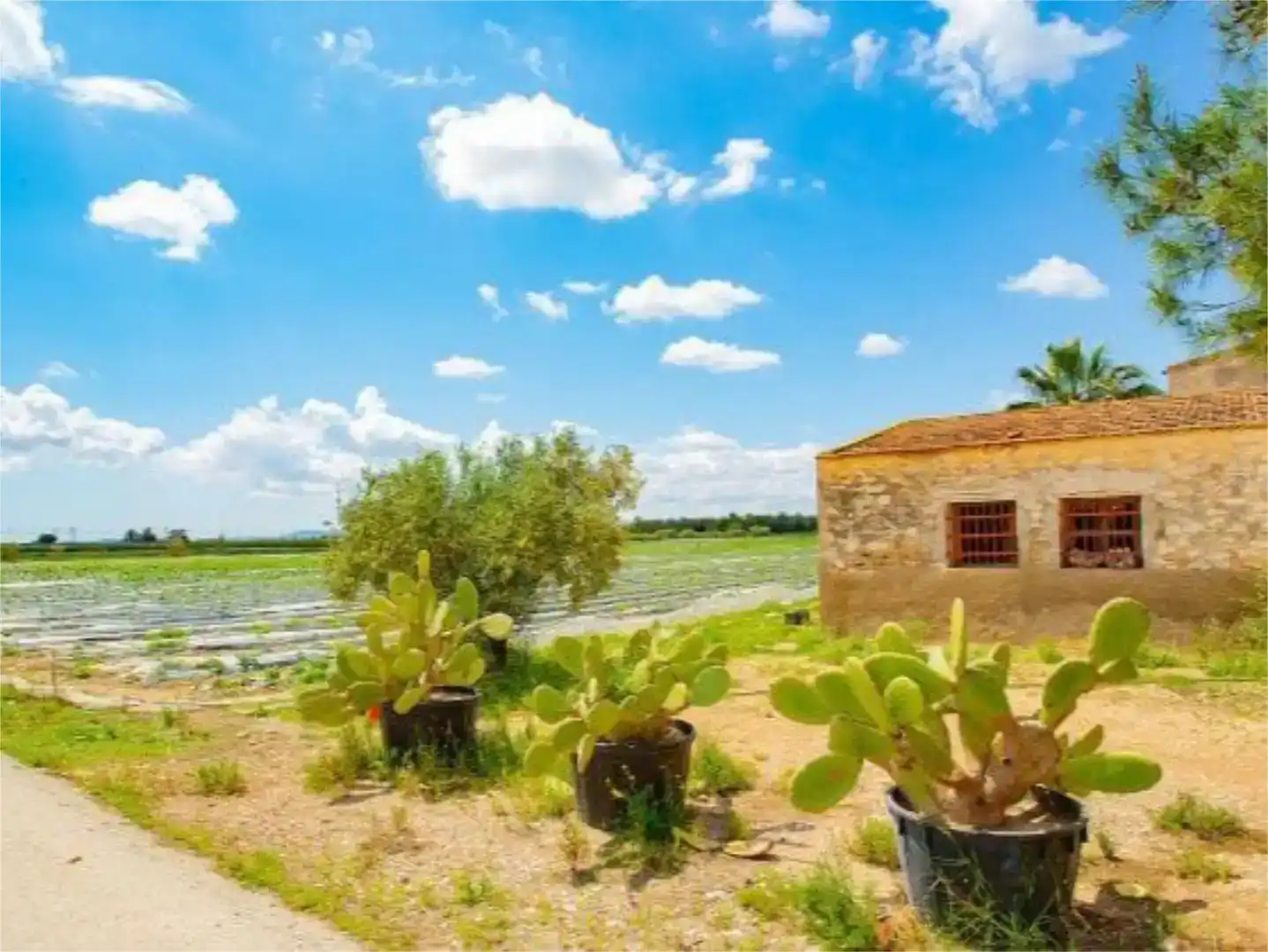 Finca rústica en venda en San Isidro
