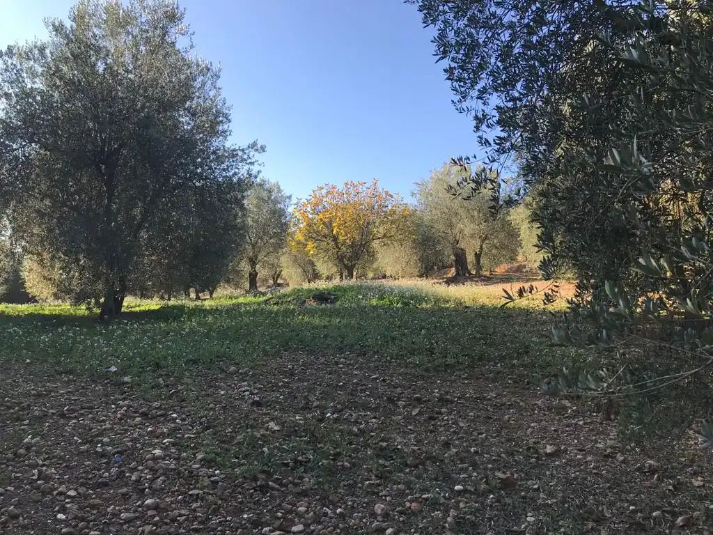 Terrain rustique à vendre à El Bruc, imagen 14