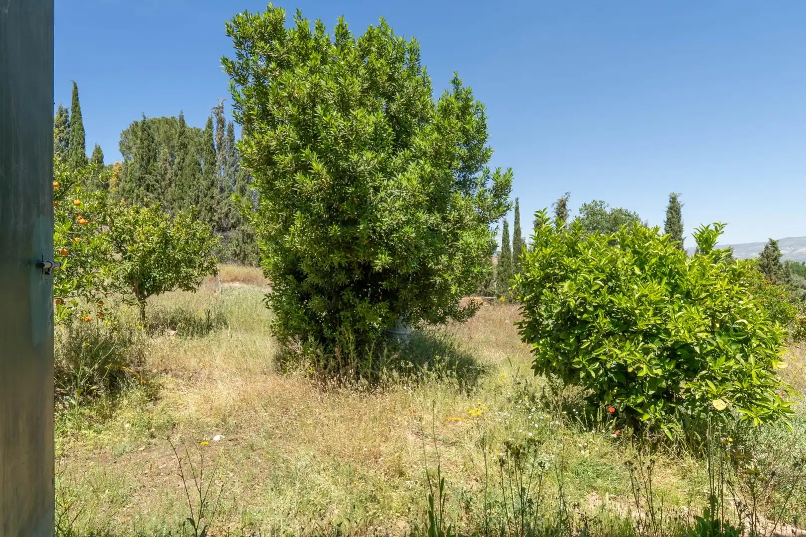 Casa o xalet en venda a Moraleda de Zafayona