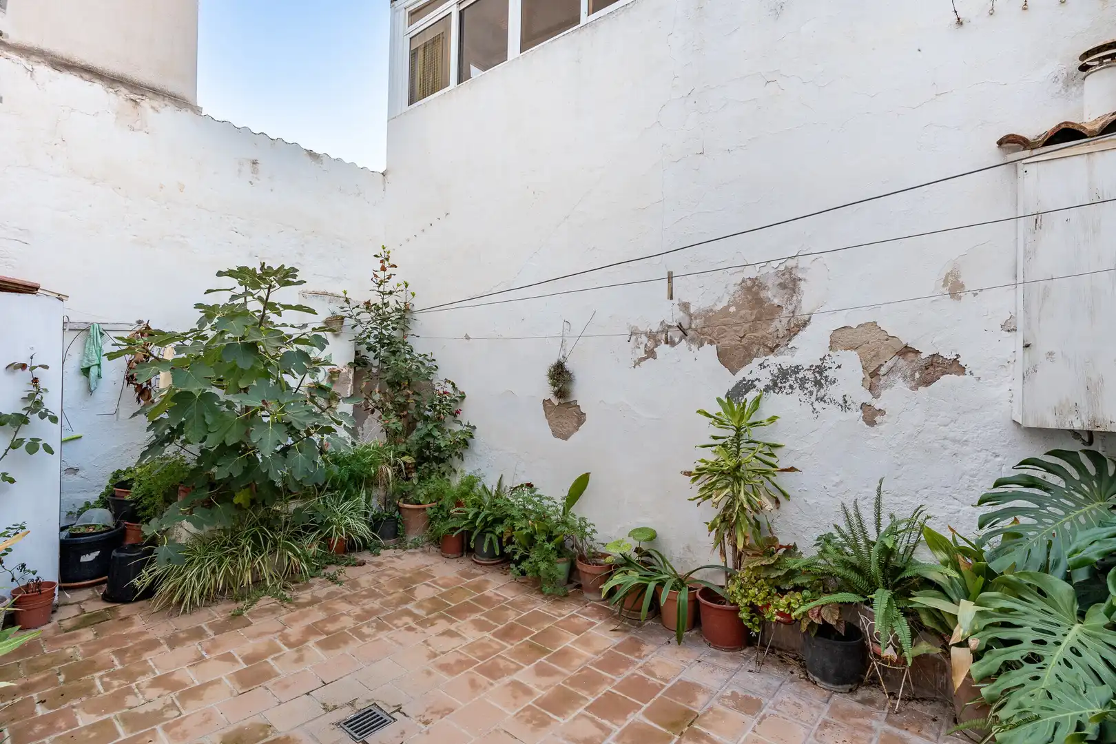 Jardí de Casa o xalet en venda en  Palma de Mallorca amb Aire condicionat, Terrassa i Balcó
