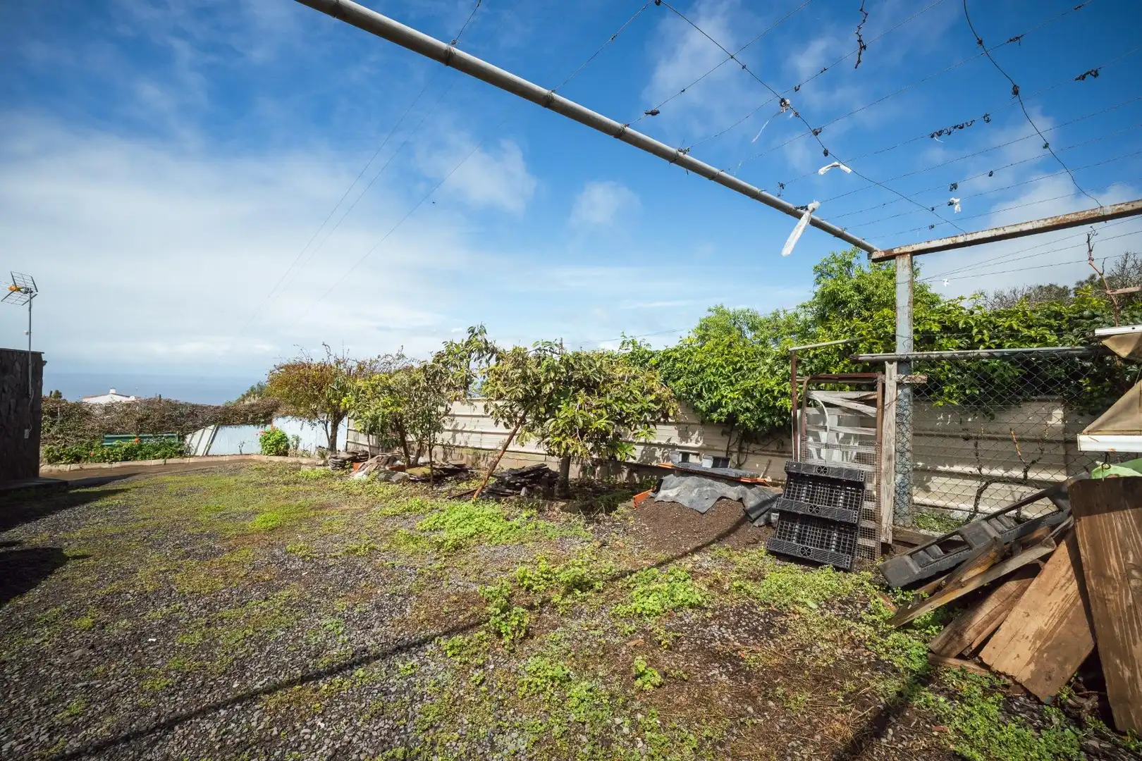 Jardín de Finca rústica en venta en El Sauzal
