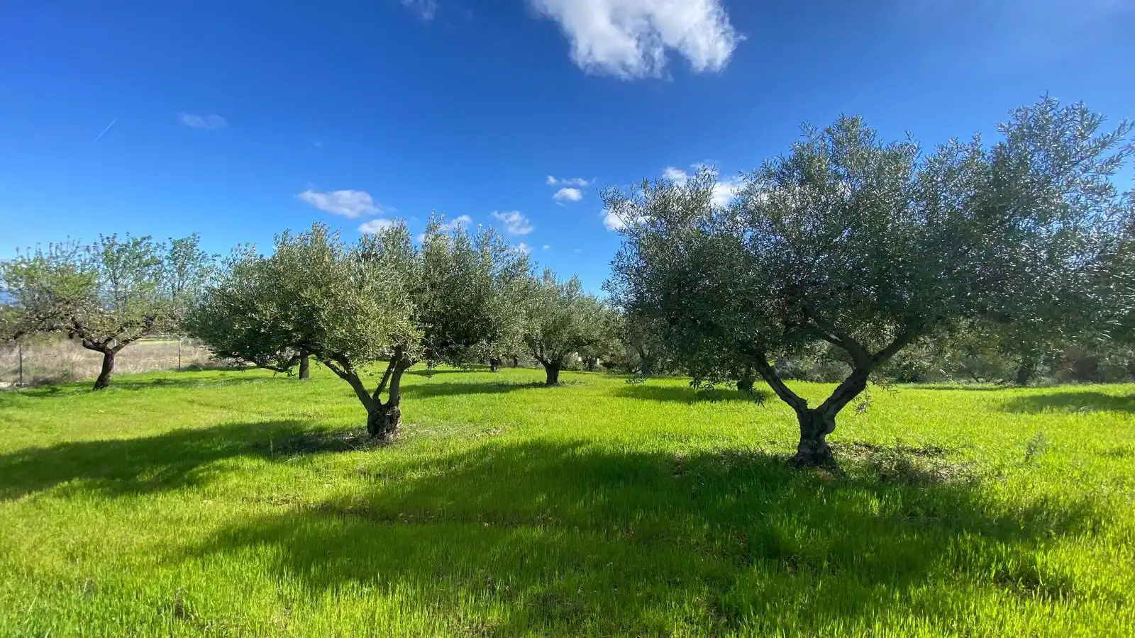 Terreni e lotti in vendita a Alquería - Torrealquería, imagen 14