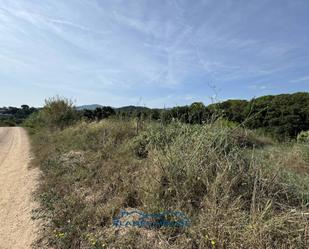 Land for sale in Tordera