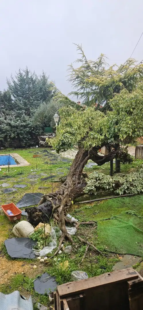 Jardí de Casa o xalet en venda en Villar del Olmo amb Jardí privat i Piscina