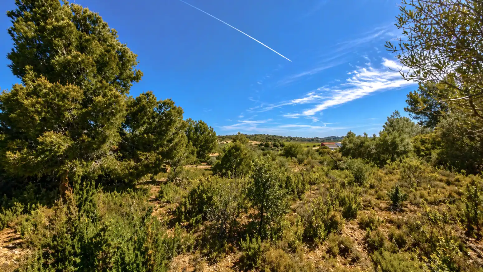 Terreny en venda en Montserrat
