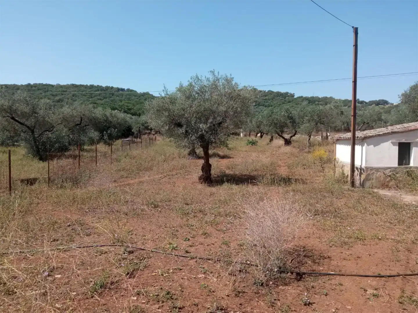 Finca rústica en venda en Corteconcepción amb Jardí privat