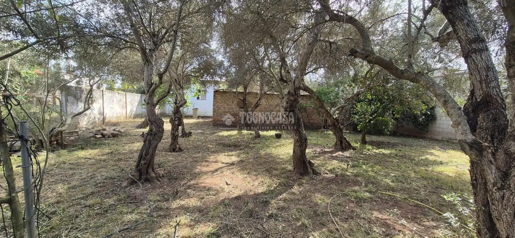 Casa rústica en venda a Oromana, imagen 17