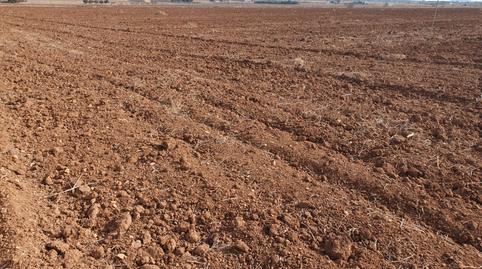 Photo 4 of Land for sale in Desconocido, 2, La Fama, Murcia