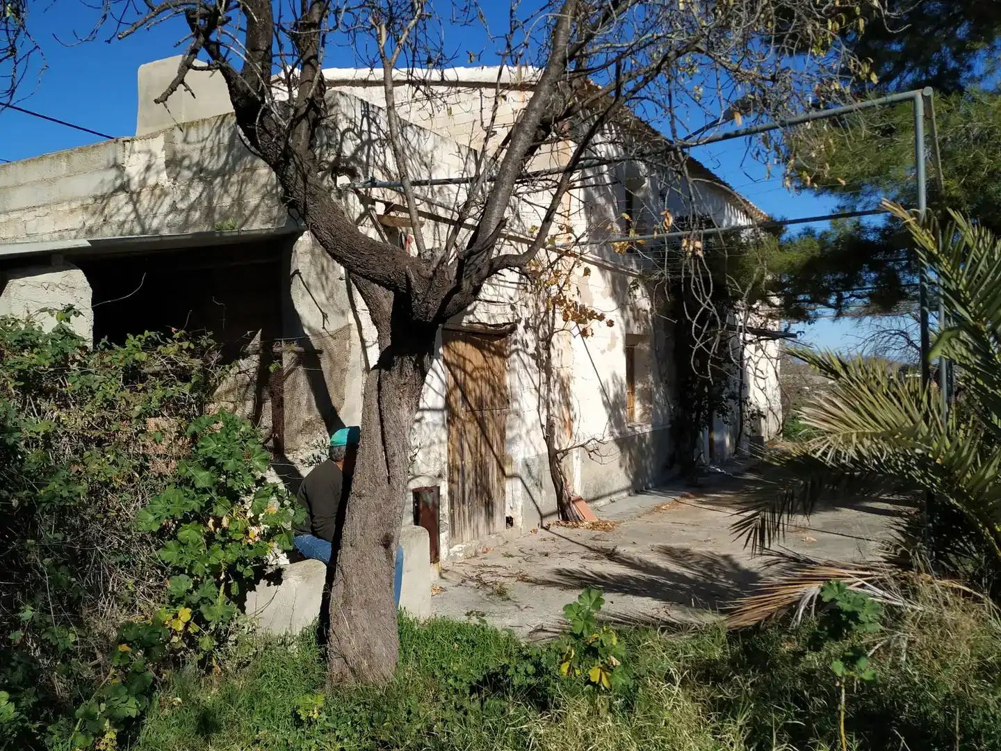 Vista exterior de Planta baixa en venda en Cantoria amb Jardí privat, Traster i Balcó