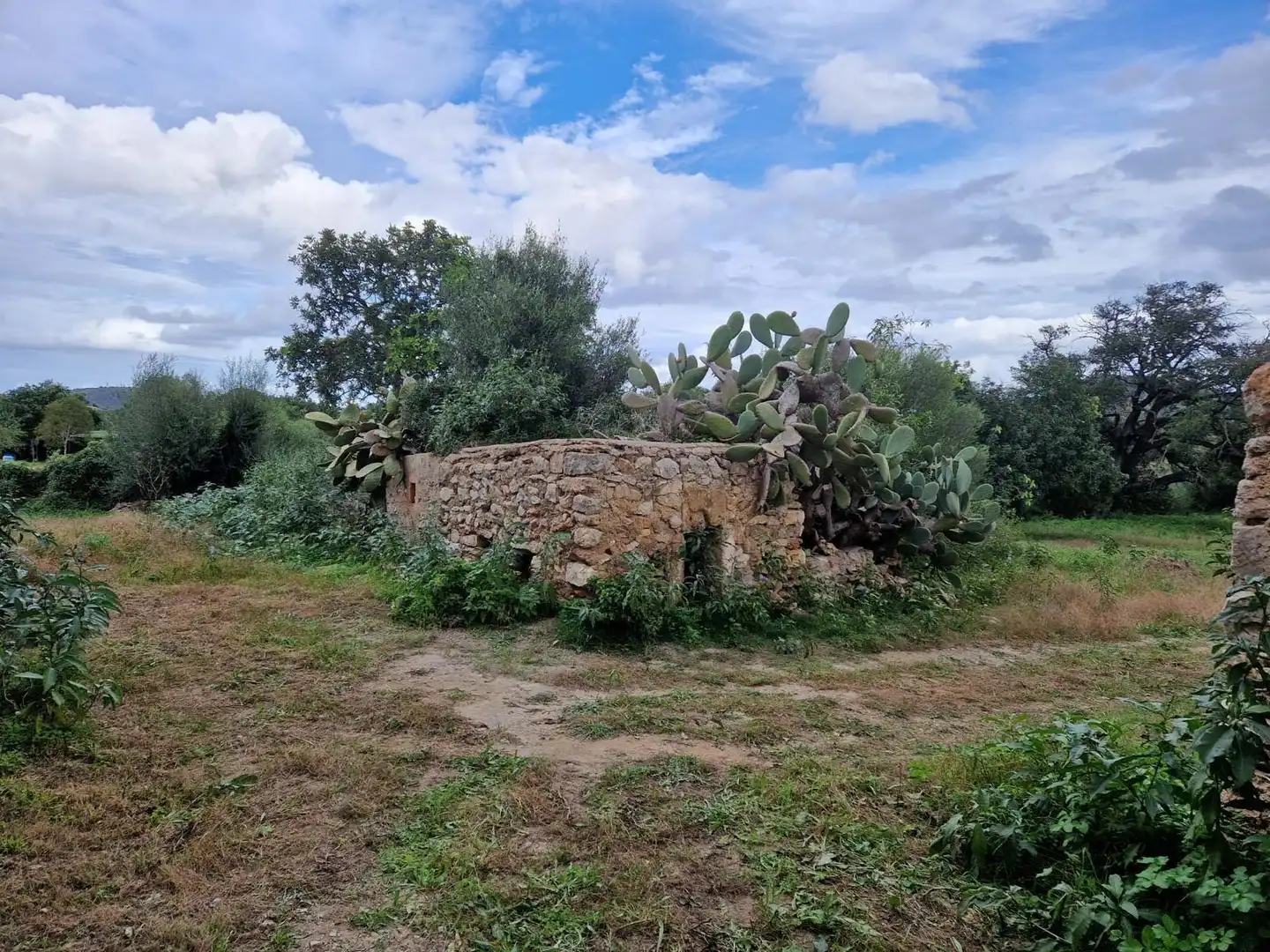 Maison rustique à vendre à Son Servera Poble, imagen 3