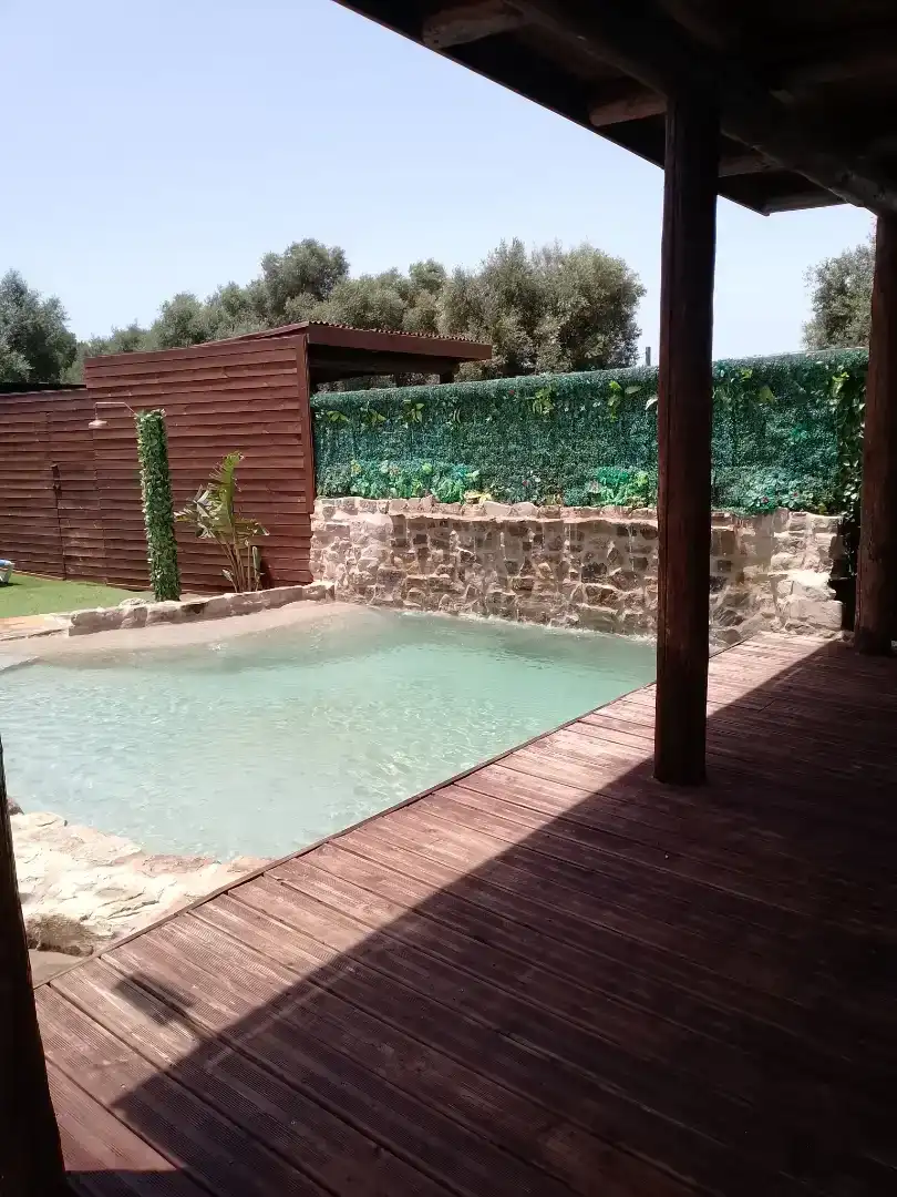 Swimming pool of Houses for rent in Vejer de la Frontera