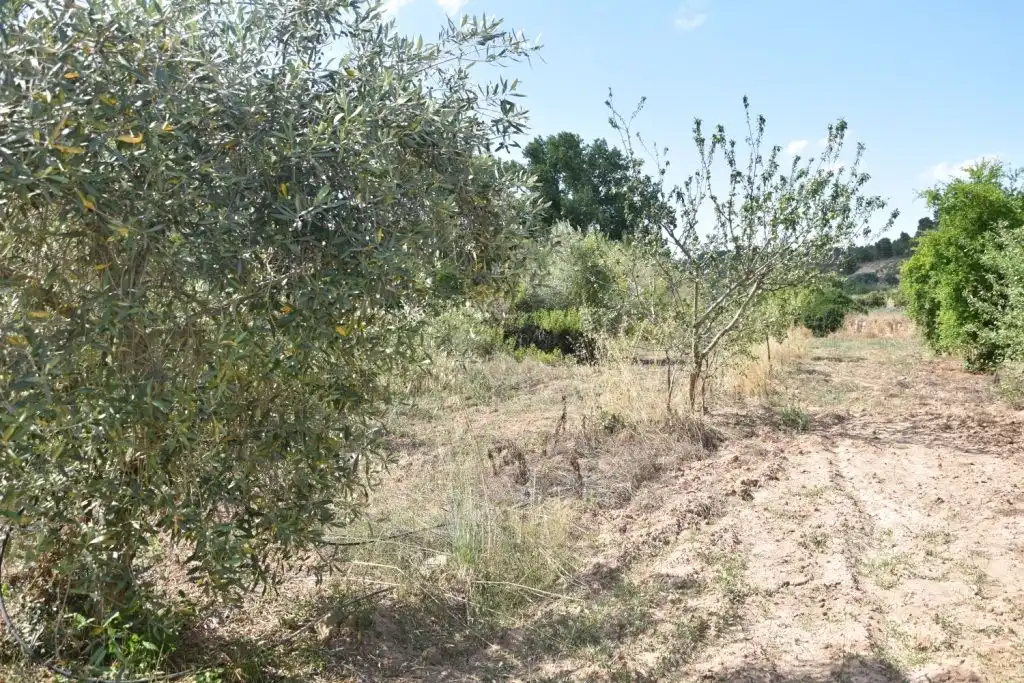 Terreni e lotti in vendita a Mazaleón, imagen 7